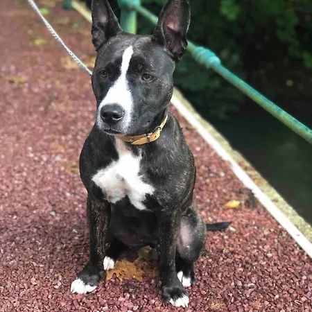 Charmante D'hote Atypique A * Pont-Audemer